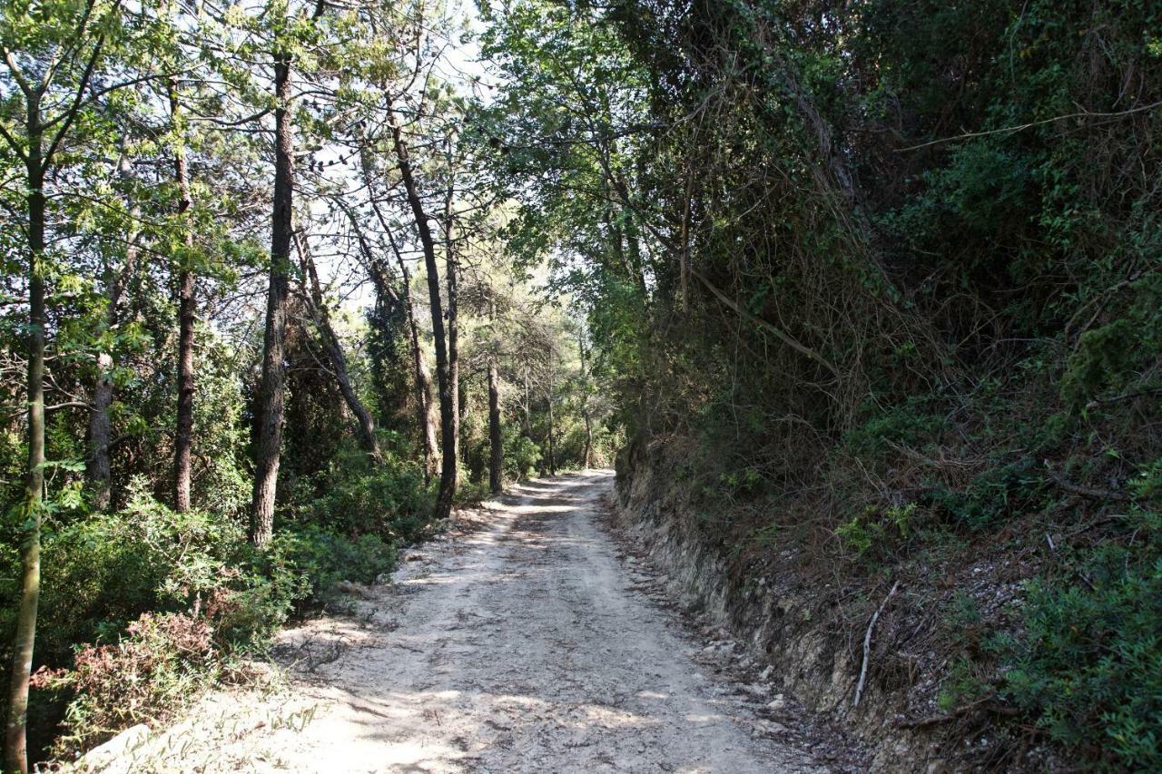 Casa Vacanze A Lea L'Ua Finale Ligure Eksteriør billede